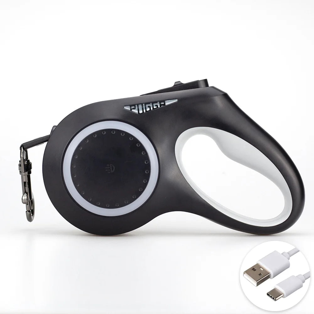 Lead The Way Dog Leash