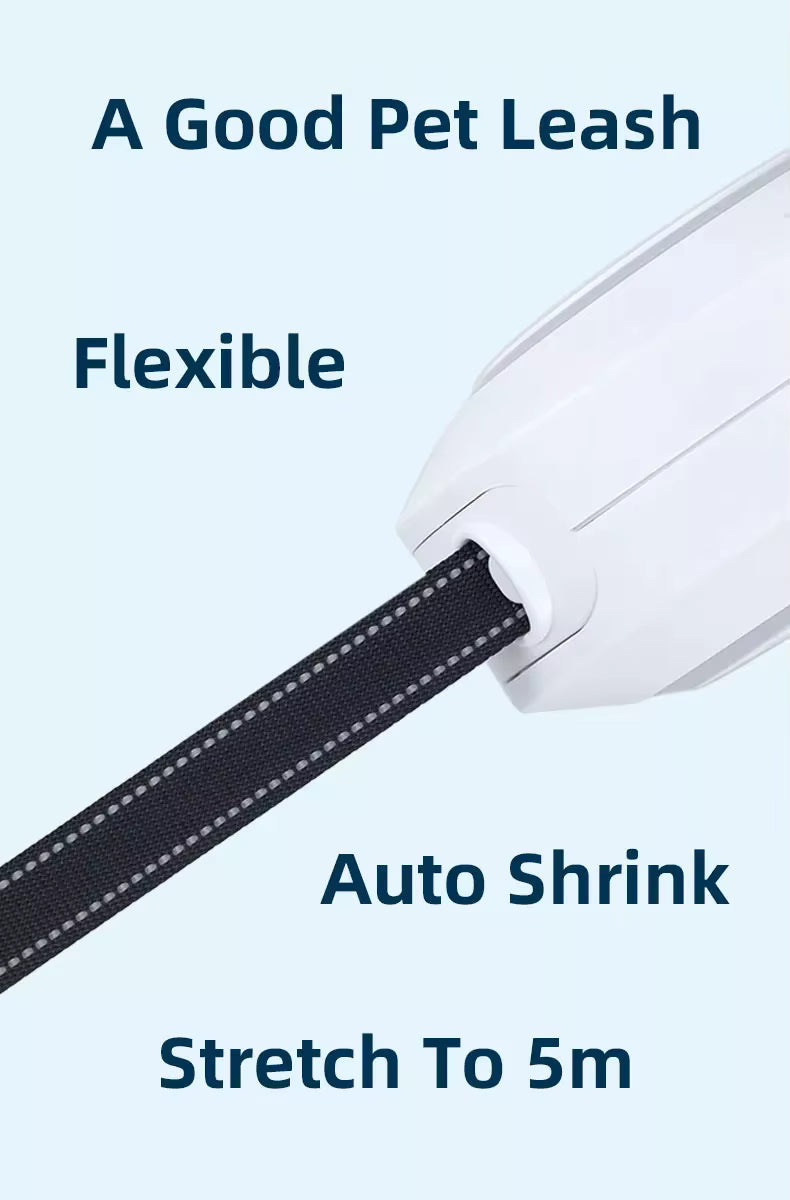 Lead The Way Dog Leash