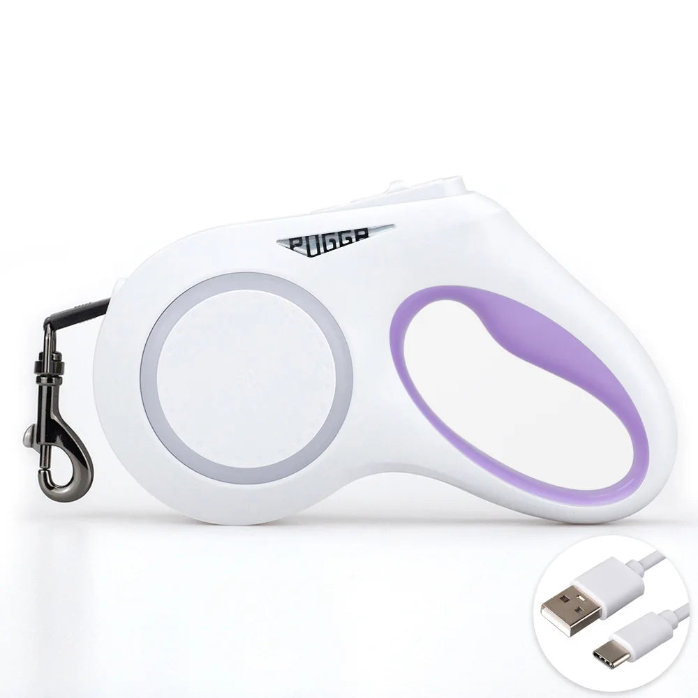 Lead The Way Dog Leash