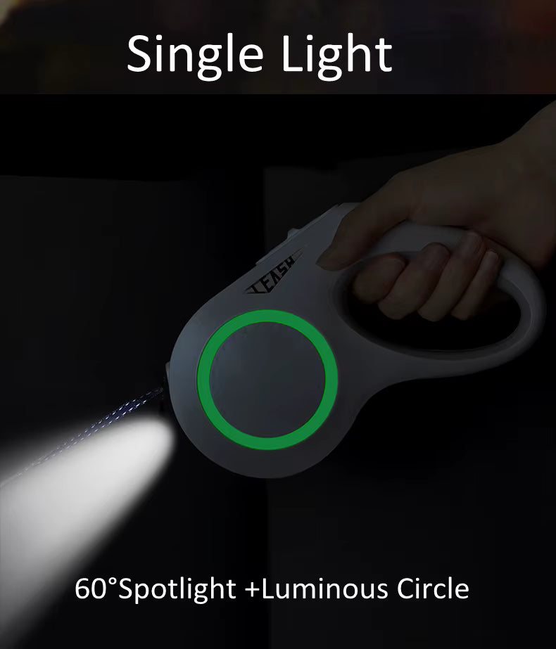 Lead The Way Dog Leash