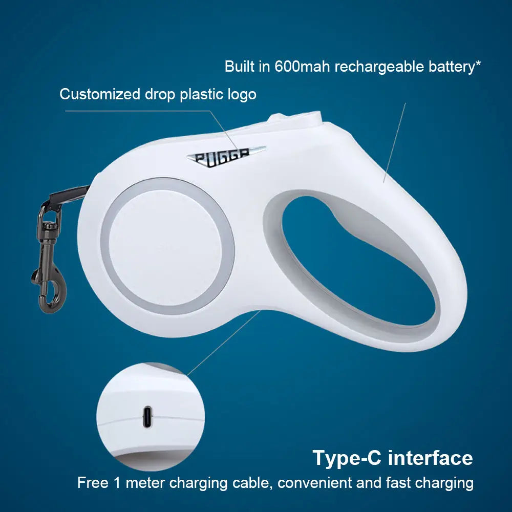 Lead The Way Dog Leash